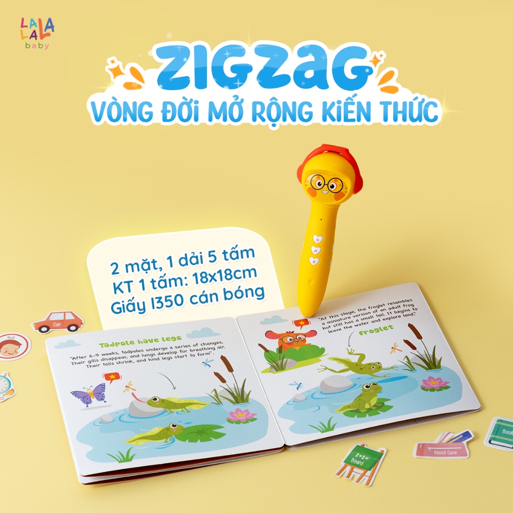 Bút chấm đọc song ngữ Lala Magic Pen - Ảnh 3