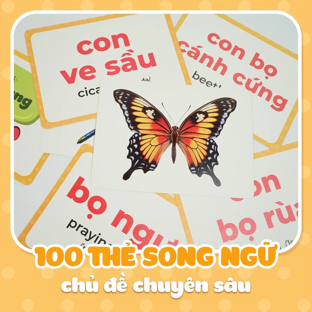 Bộ thẻ học thông minh LalaLingo - Ảnh 10