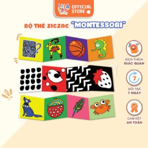 Trọn bộ tinh anh - Thẻ zigzag và flashcard kích thích thị giác